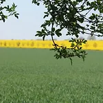 Gemuetliche Mit Garten In Robertsdorf Apartment *