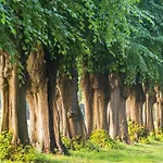 Gemuetliche Mit Garten In Robertsdorf