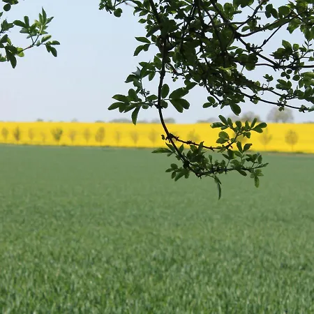 Gemuetliche Mit Garten In Robertsdorf Apartamento *