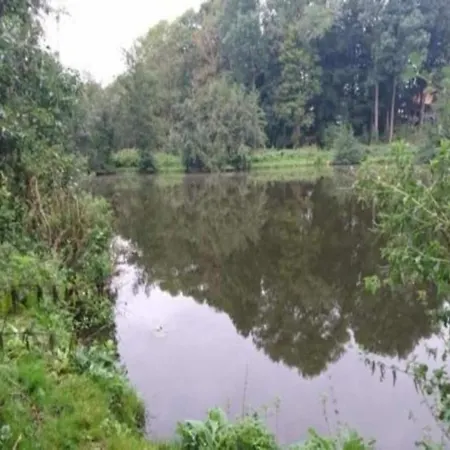 Gemuetliche Mit Garten In Robertsdorf