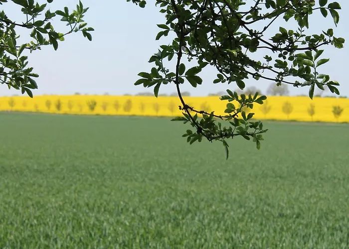 Gemuetliche Mit Garten In Robertsdorf Апартаменты *