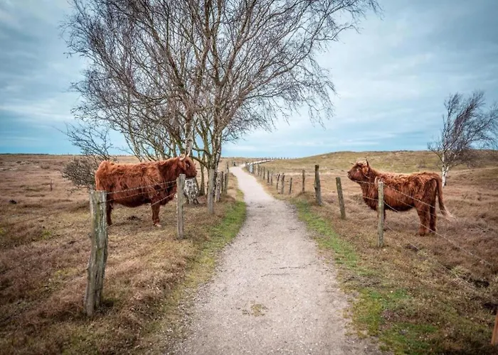 Gemuetliche Mit Garten In Robertsdorf Blowatz