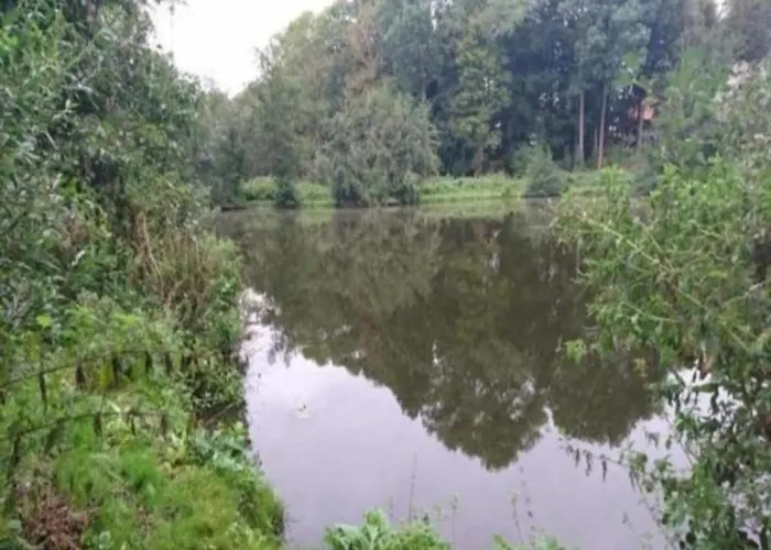 Gemuetliche Mit Garten In Robertsdorf