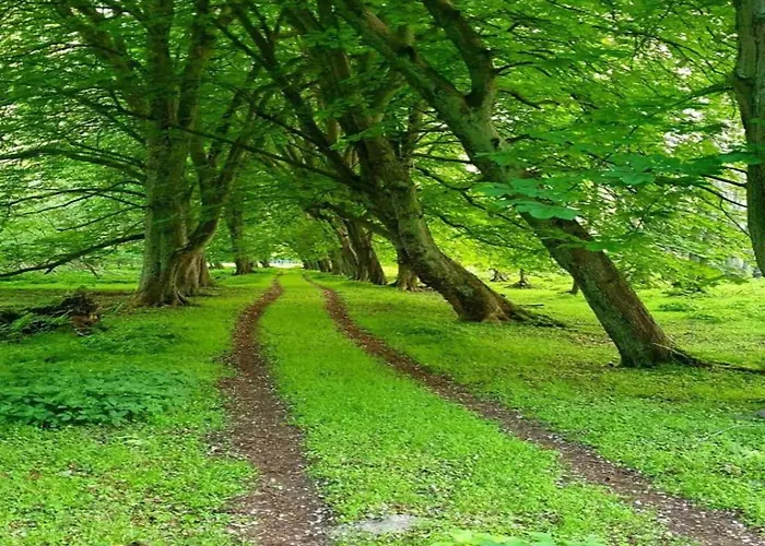 Gemuetliche Mit Garten In Robertsdorf Апартаменты Blowatz